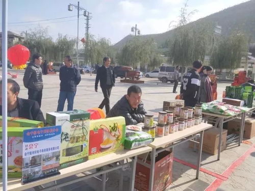 舌尖上的绿色 高原遗珍，状元故里——会宁小杂粮状元食品暨民俗文化产品展销会与电子商务推介会纪实